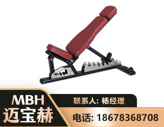 喀什可调哑铃椅